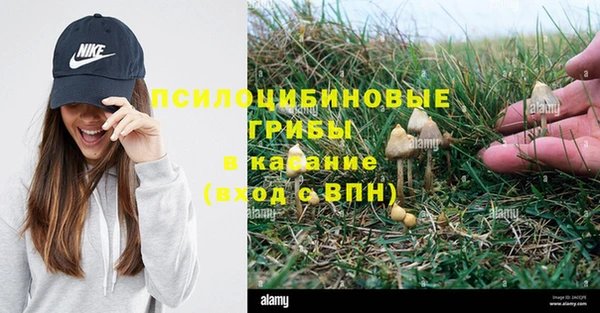 соль ск Кукмор