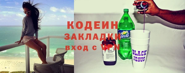 соль ск Кукмор