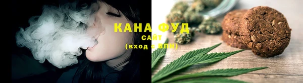 соль ск Кукмор