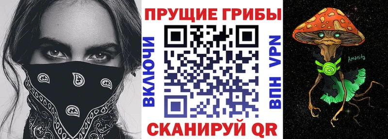 Галлюциногенные грибы Magic Shrooms  Купить где  Кириллов 